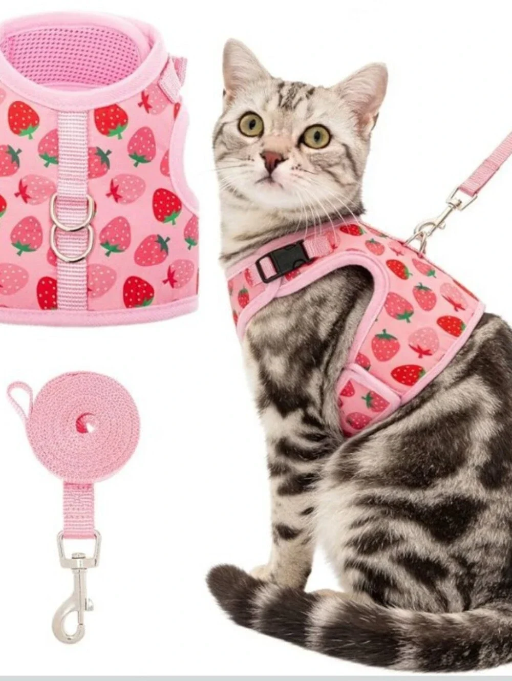 BINGPET Pet Harness and Leash Set Cat 😺  Size XL